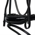 Trense Showtime Las Vegas Glitter HB Schwarz-Schwarz