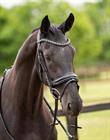 Trense Showtime Las Vegas Glitter HB Schwarz-Schwarz