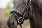 Trense Showtime Las Vegas Glitter HB Schwarz-Schwarz