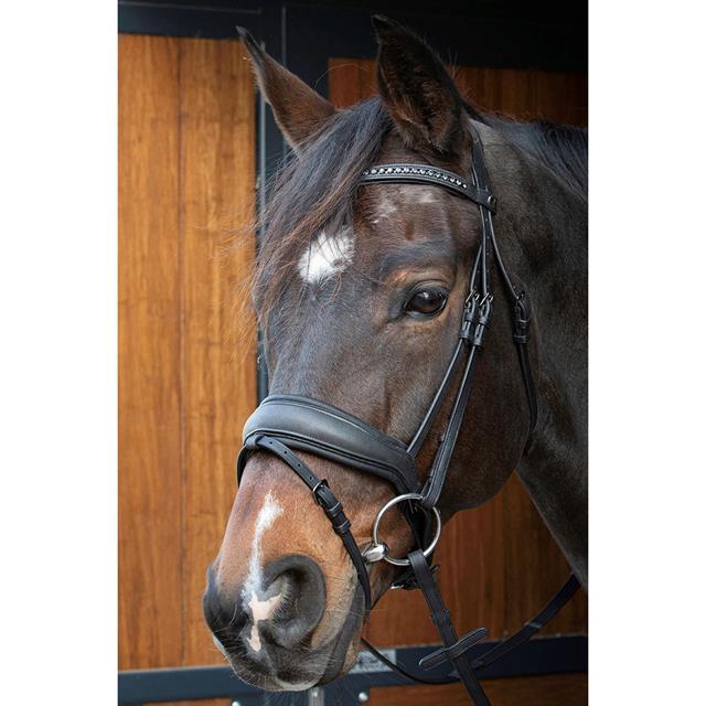 Trense Soft Bombastic Black Edition Harry's Horse Schwarz