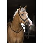 Trense Styx Horsegear Braun