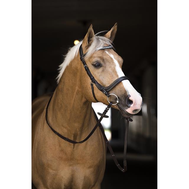 Trense Styx Horsegear Braun