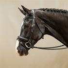 Trense Working Collection Kombiniertes Reithalfter mit breitem Nasenriemen Dy'on Schwarz