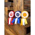 Turnierschleifen Hobby Horse 3er-Pack LeMieux Mehrfarbig