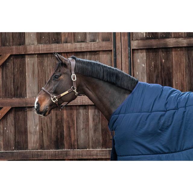 Unterdecke Classic 300g Kentucky Dunkelblau
