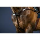 Vorderzeug Anatomisch New English Collection Dy'on Braun