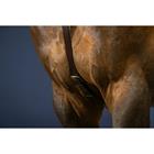 Vorderzeug Anatomisch New English Collection Dy'on Braun