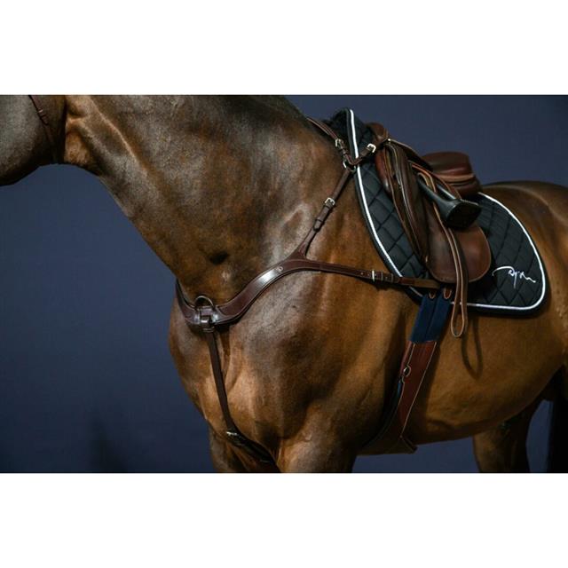 Vorderzeug Anatomisch New English Collection Dy'on Braun