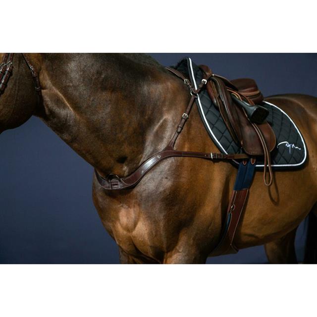 Vorderzeug Anatomisch New English Collection Dy'on Braun