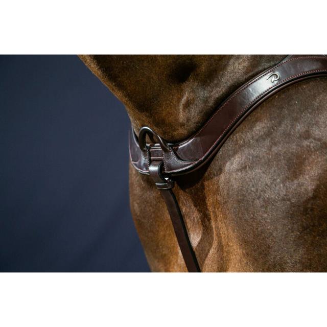 Vorderzeug Anatomisch New English Collection Dy'on Braun