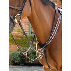 Vorderzeug Arika Elasticated LeMieux Braun-Silber