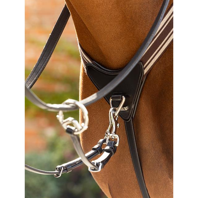 Vorderzeug Arika Elasticated LeMieux Braun-Silber