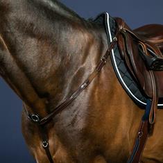 Vorderzeug New English Collection Dy'on Braun