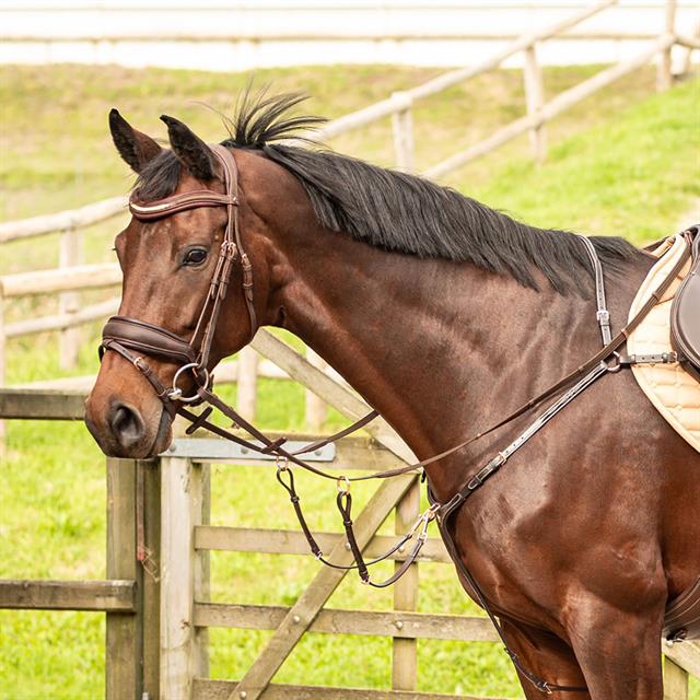 Vorderzeug Roségold Harry's Horse Braun