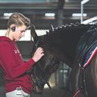 WHIS Kommunikationssystem "Original" Kopfhörer Schwarz