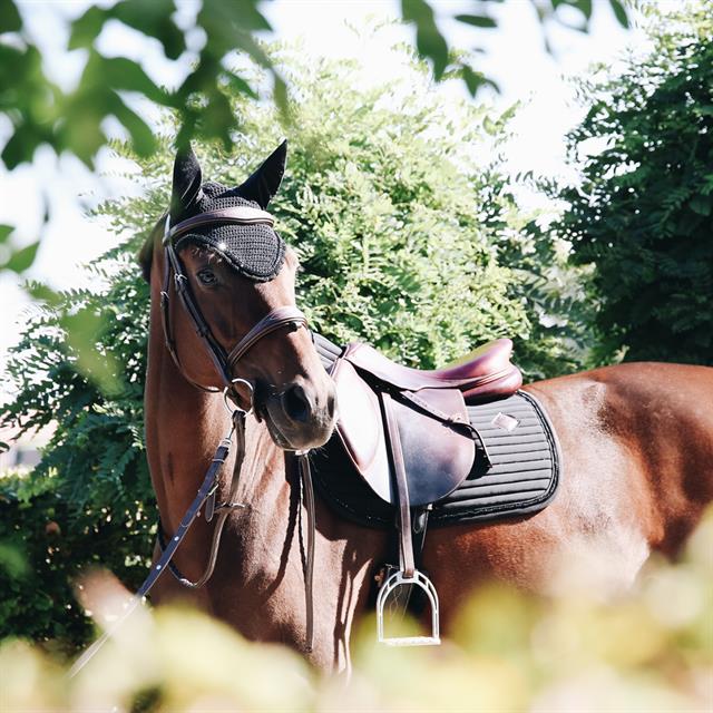 Zadeldek Kentucky Pearls Jumping Grau
