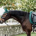 Zadeldek Kentucky Velvet Dunkelgrün