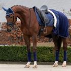 Zweetdeken QHP Brilliance Dunkelblau