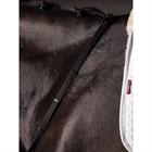 Zügel Webbed Continental LeMieux Schwarz-Silber